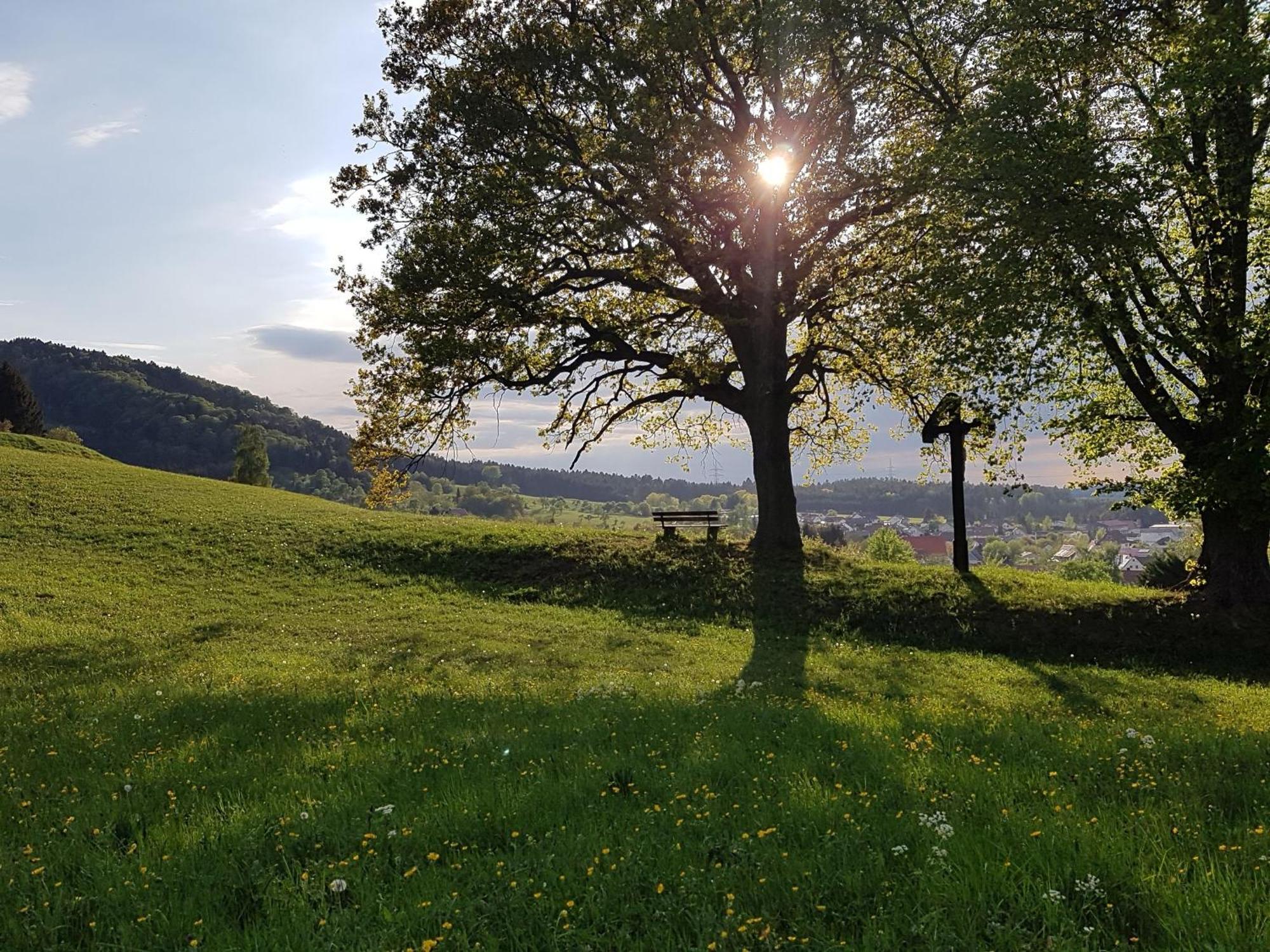 Rosswangen Vakantiehuis *